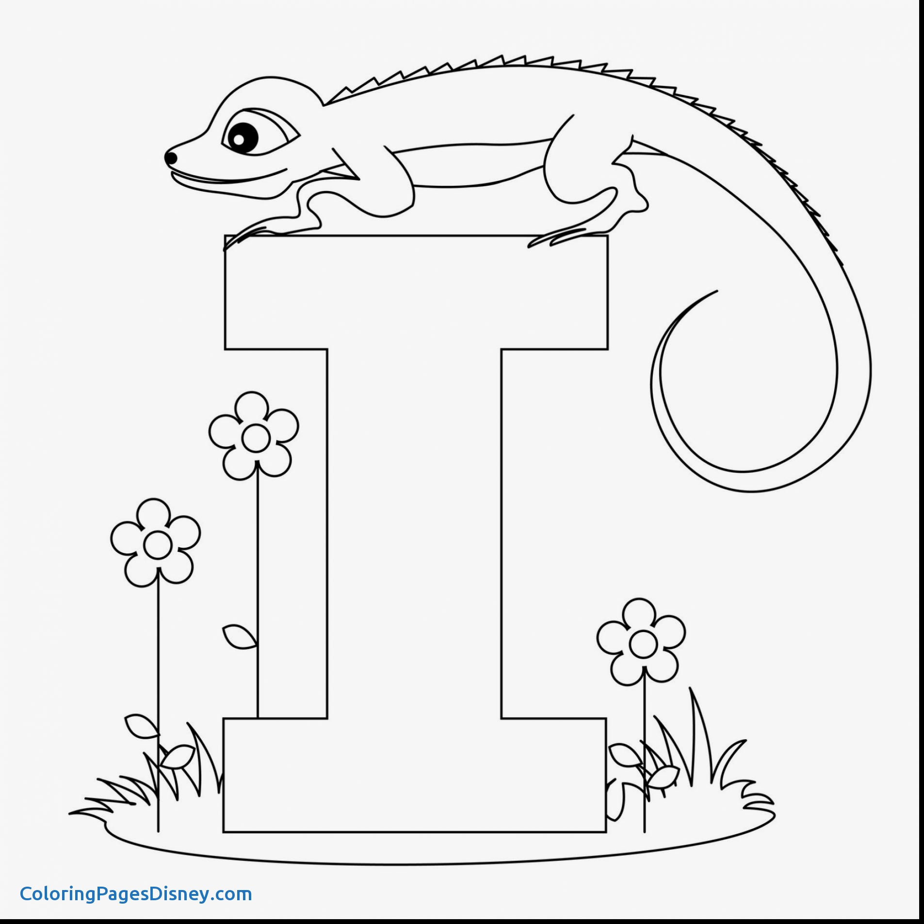 1905x1905 Letter H Coloring Pages Awesome Letter H Coloring Pages