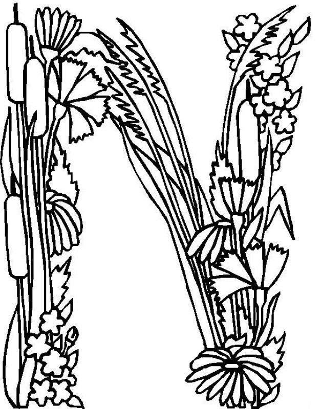 627x800 Flower Page Printable Coloring Sheets Alphabet Flower N Coloring