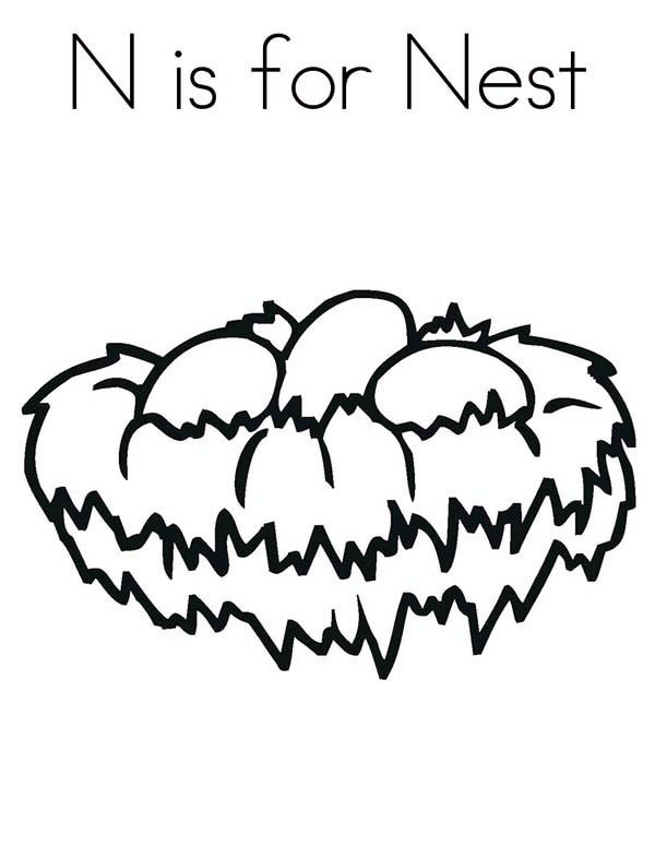 600x776 Bird Nest, N Is For Bird Nest Coloring Pages Mfw Kindergarten