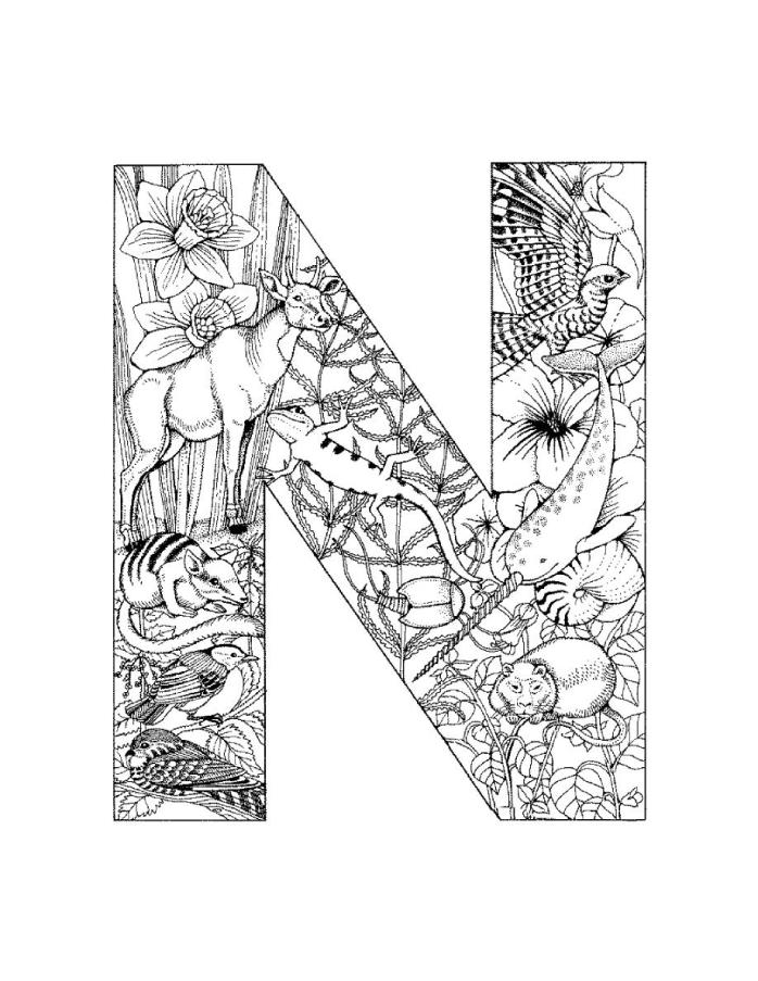 698x903 N Coloring Page