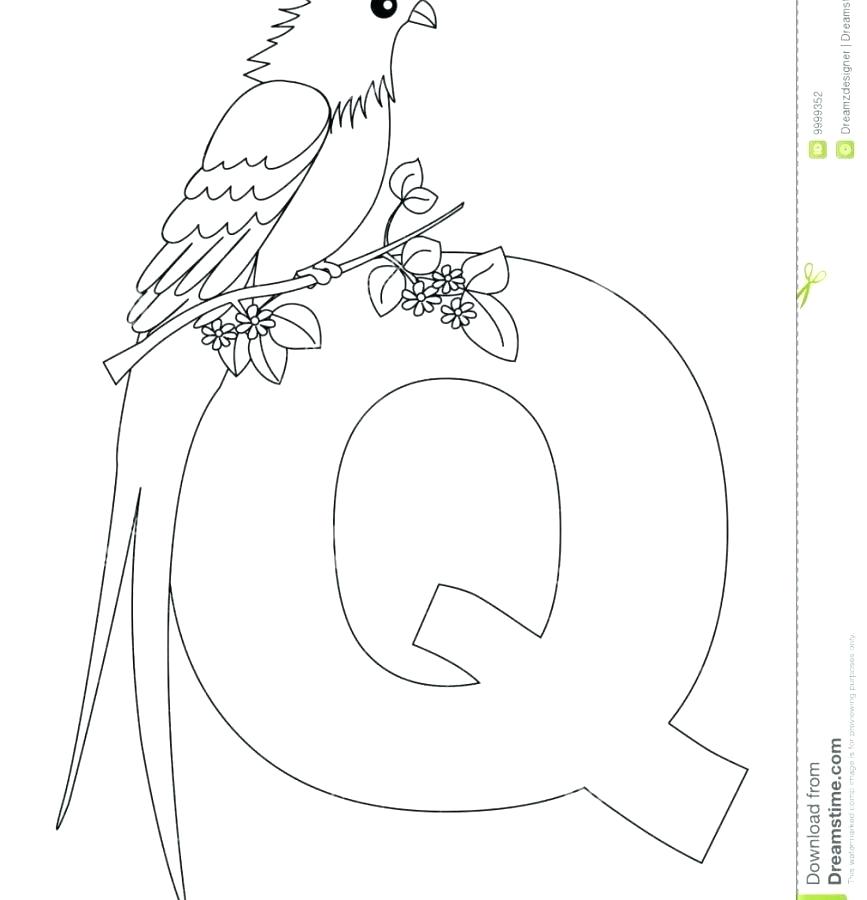 867x900 Letter A Coloring Page Letter Q Coloring Pages Alphabet Letter Q