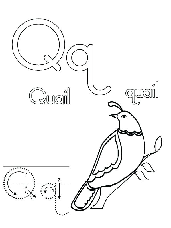 600x799 Letter V Coloring Pages Preschool Letter C Coloring Pages