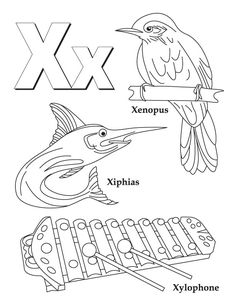 236x305 My A To Z Coloring Book Letter Z Coloring Page Preschool