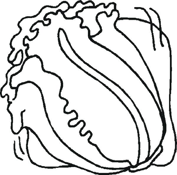600x592 Lettuce Coloring Page Lettuce Leaf Coloring Page