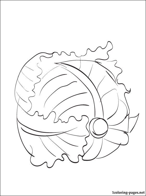 560x750 Lettuce Printable And Coloring Page Coloring Pages
