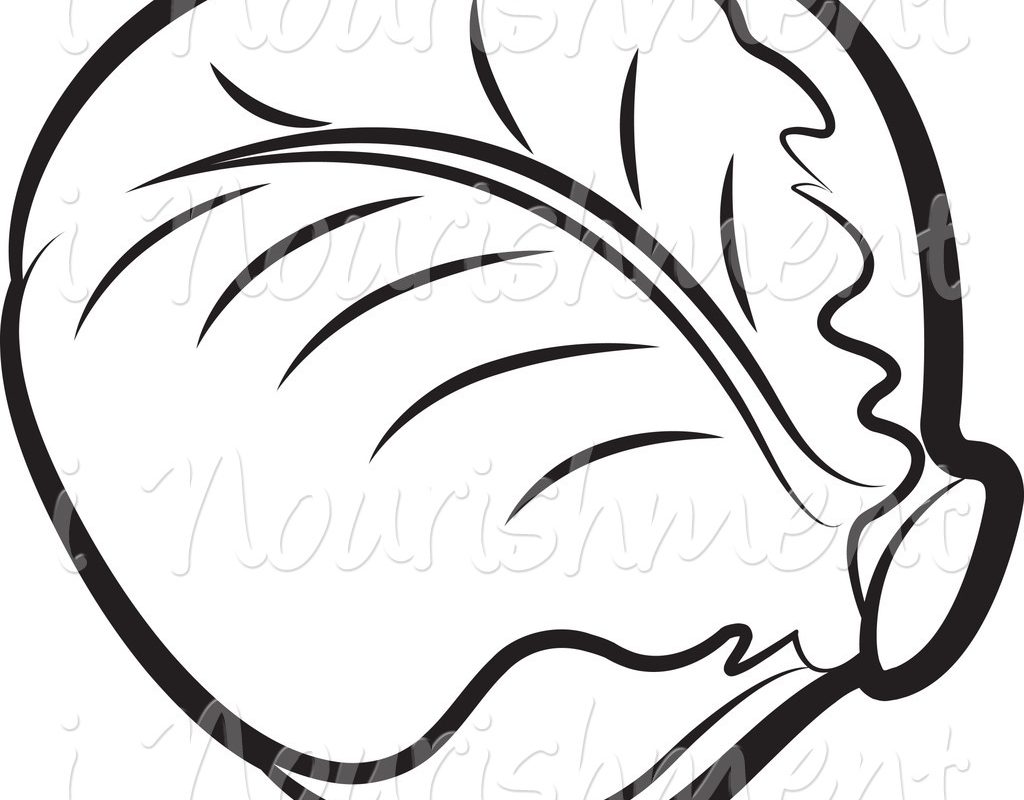 1024x800 Cabbage Vegetable Coloring Pages For Kids Page Free Patch Baby