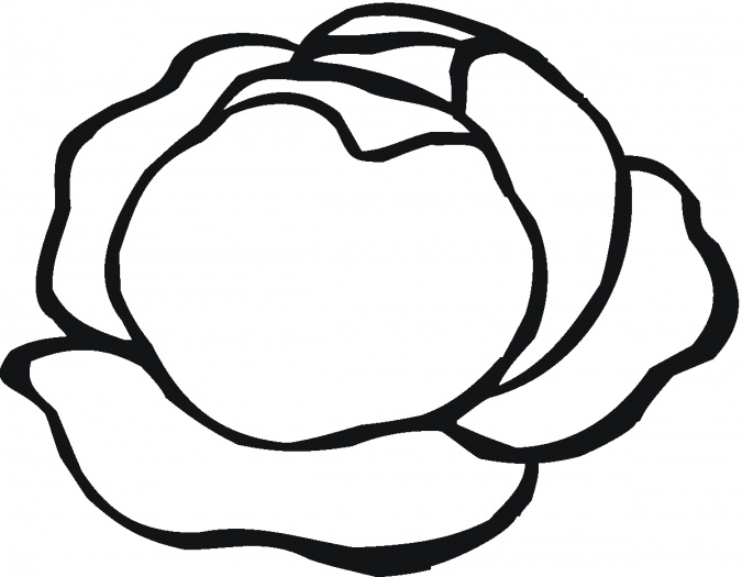 675x525 Lettuce 5 Coloring Page.gif Pixels Rong