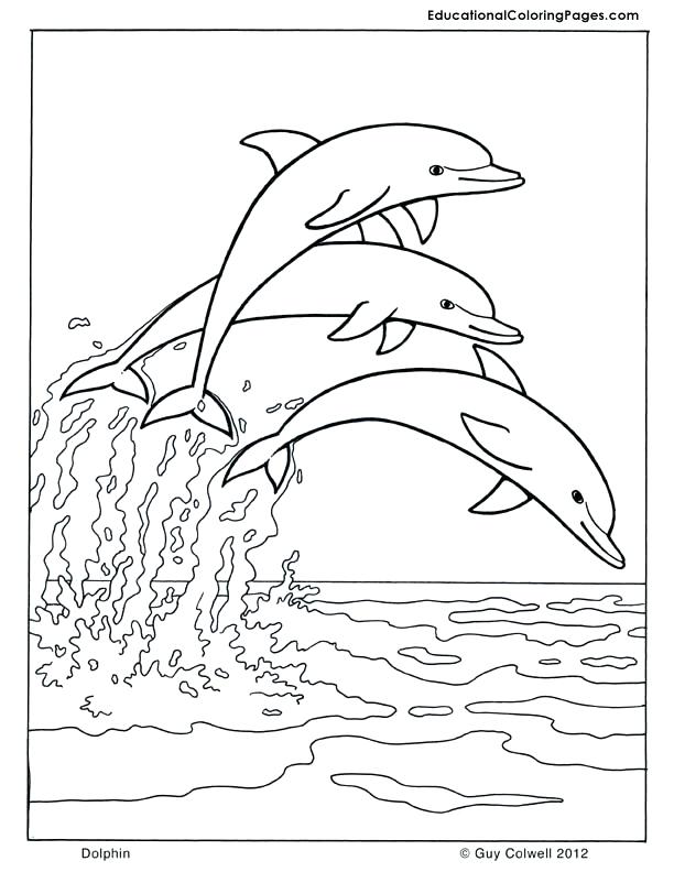 612x792 Lewis And Clark And Sacagawea Coloring Page