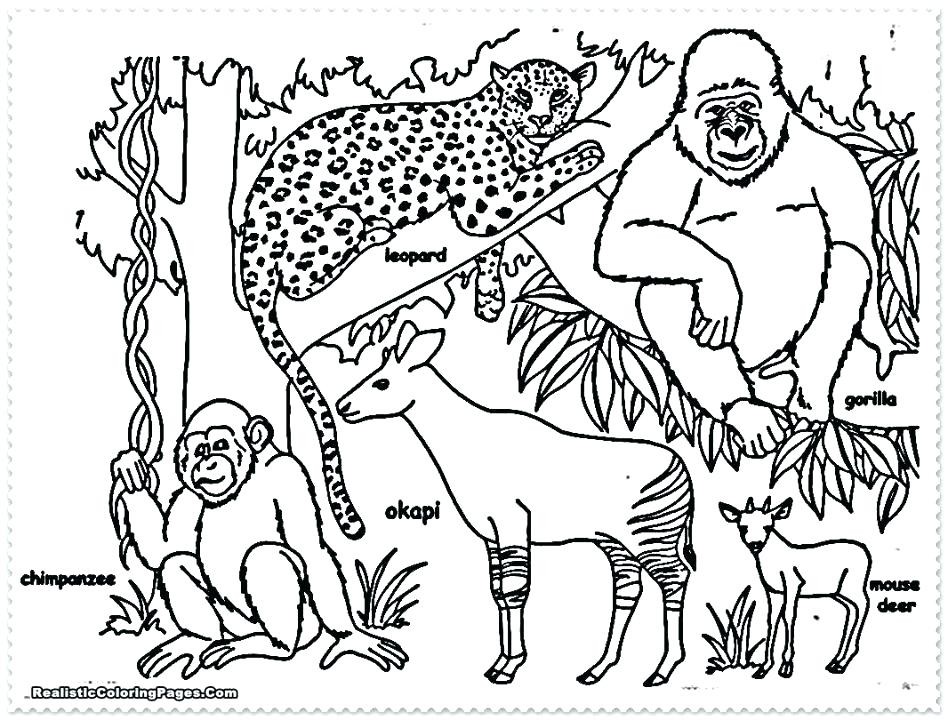948x720 Lewis And Clark Coloring Pages Inspirational Free Lewis And Clark