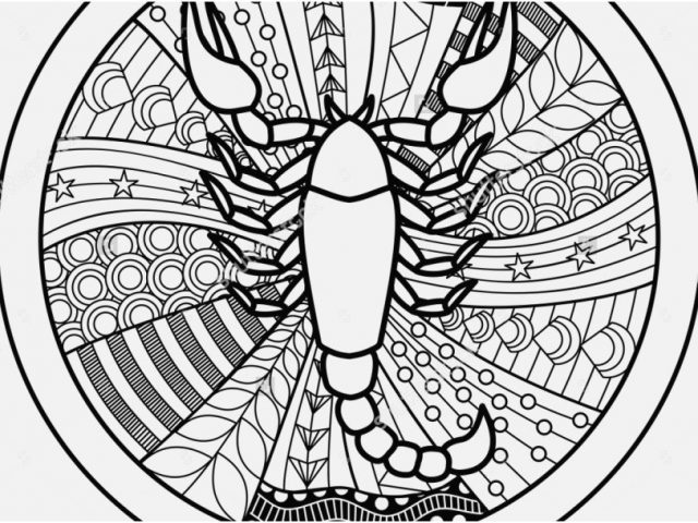 640x480 Astrology Coloring Pages Concept Zodiac Sign Scorpio Zentangle