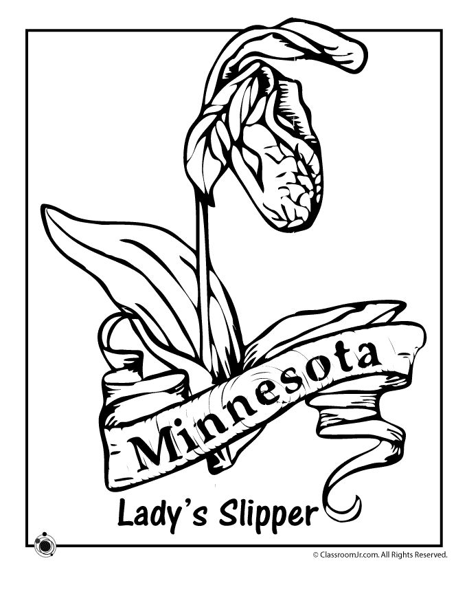 License Plate Coloring Page