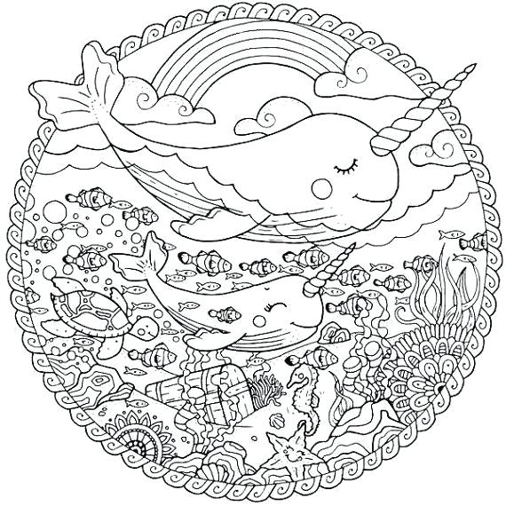 570x570 Narwhal Coloring Pages Narwhal Adult Coloring Pages Sea Life