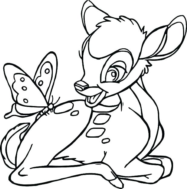618x622 Color Page Butterfly Butterfly Life Cycle Coloring Page Butterfly