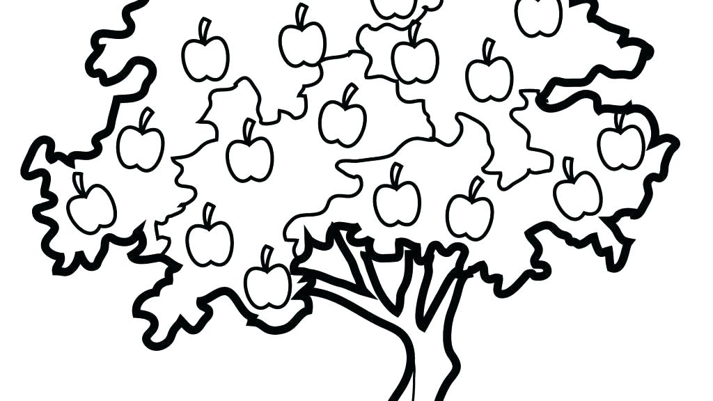1024x576 Apple Tree Coloring Page Apple Coloring Page Apple Tree Coloring