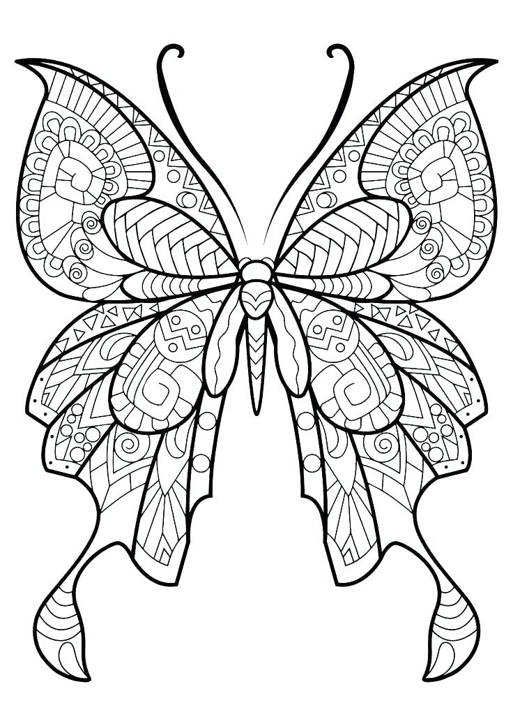 736x1040 Monarch Butterfly Printable Pictures Life Cycle Of A Coloring Page