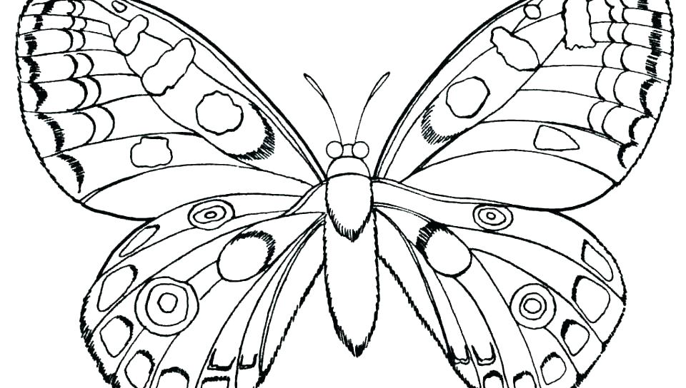 960x544 Coloring Pages Of A Butterfly Deepart