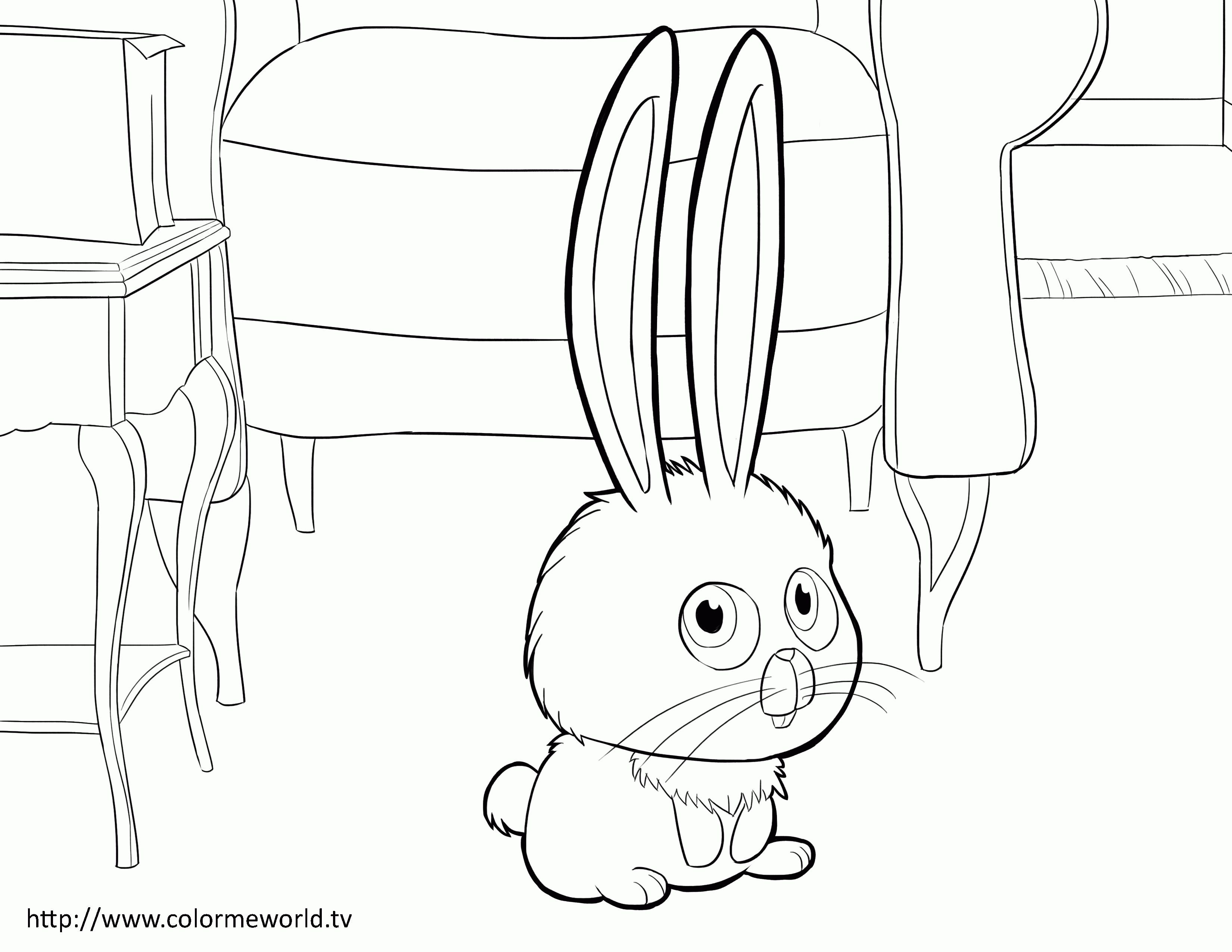 3300x2550 Secret Life Of Pets Coloring Pages (35).jpg Color