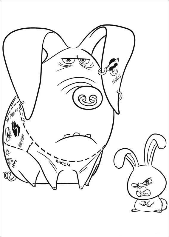 567x794 28 Best Secret Life Of Pets Coloring Pages Images