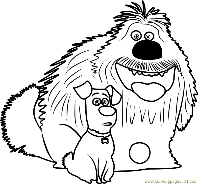 800x742 Secret Life Of Pets Coloring Pages Pdf