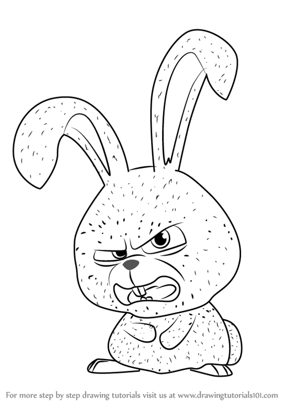 566x800 The Secret Life Of Pets Coloring Pages 301205