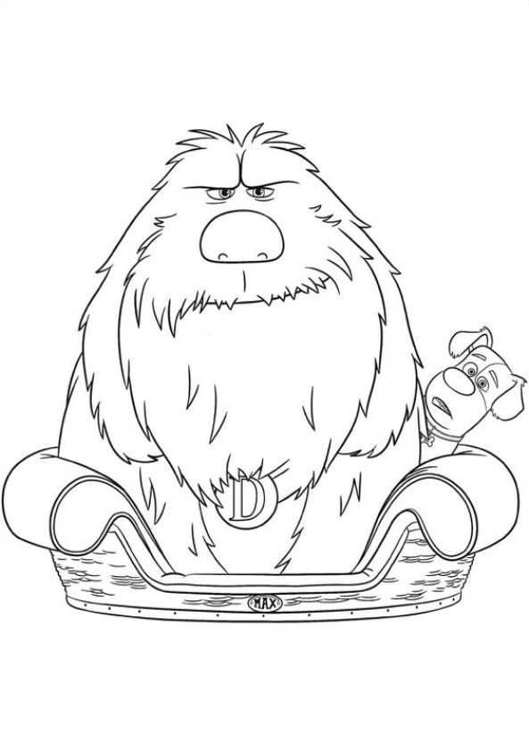 593x832 29 Coloring Pages Of Secret Life Of Pets Kids N Fun.co.uk.