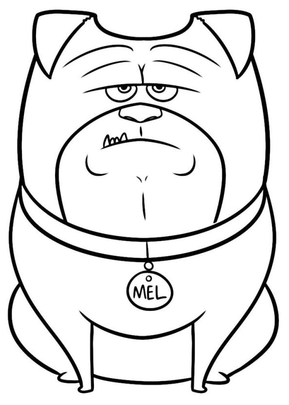 594x832 Secret Life Pets Free Coloring Pages 29 Coloring Pages