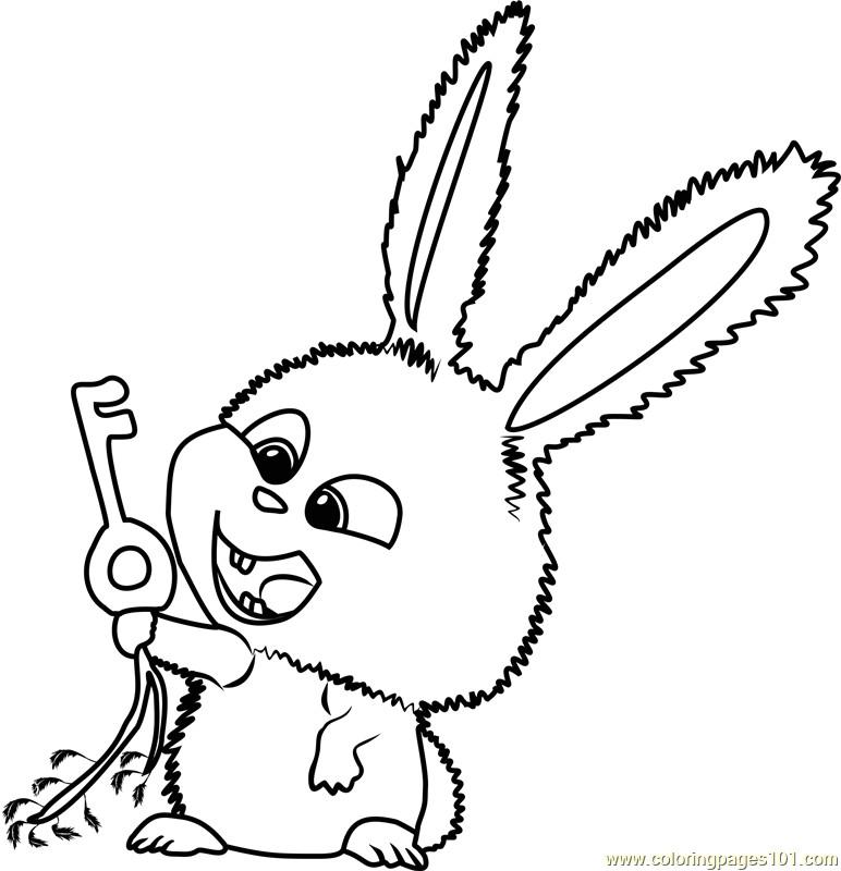 772x800 Fresh Secret Life Pets Coloring Pages Coloring Ws