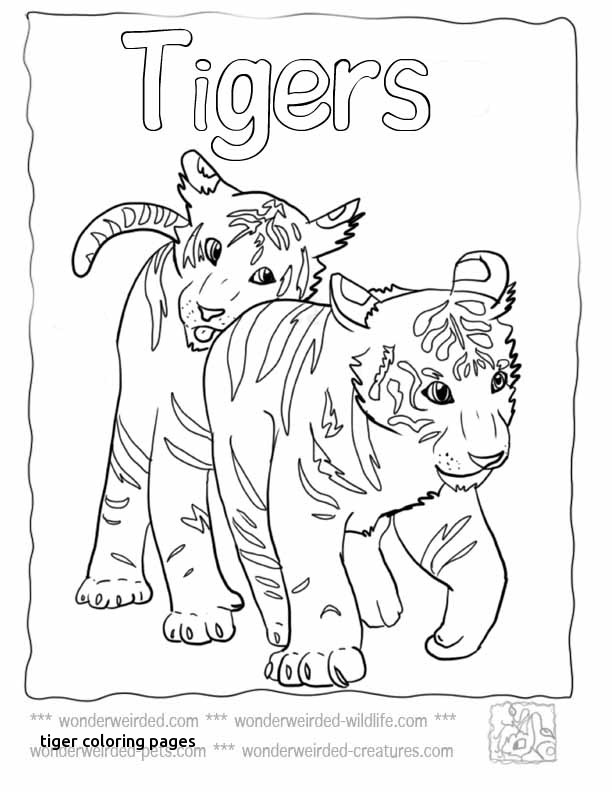 612x792 Tiger Coloring Pages