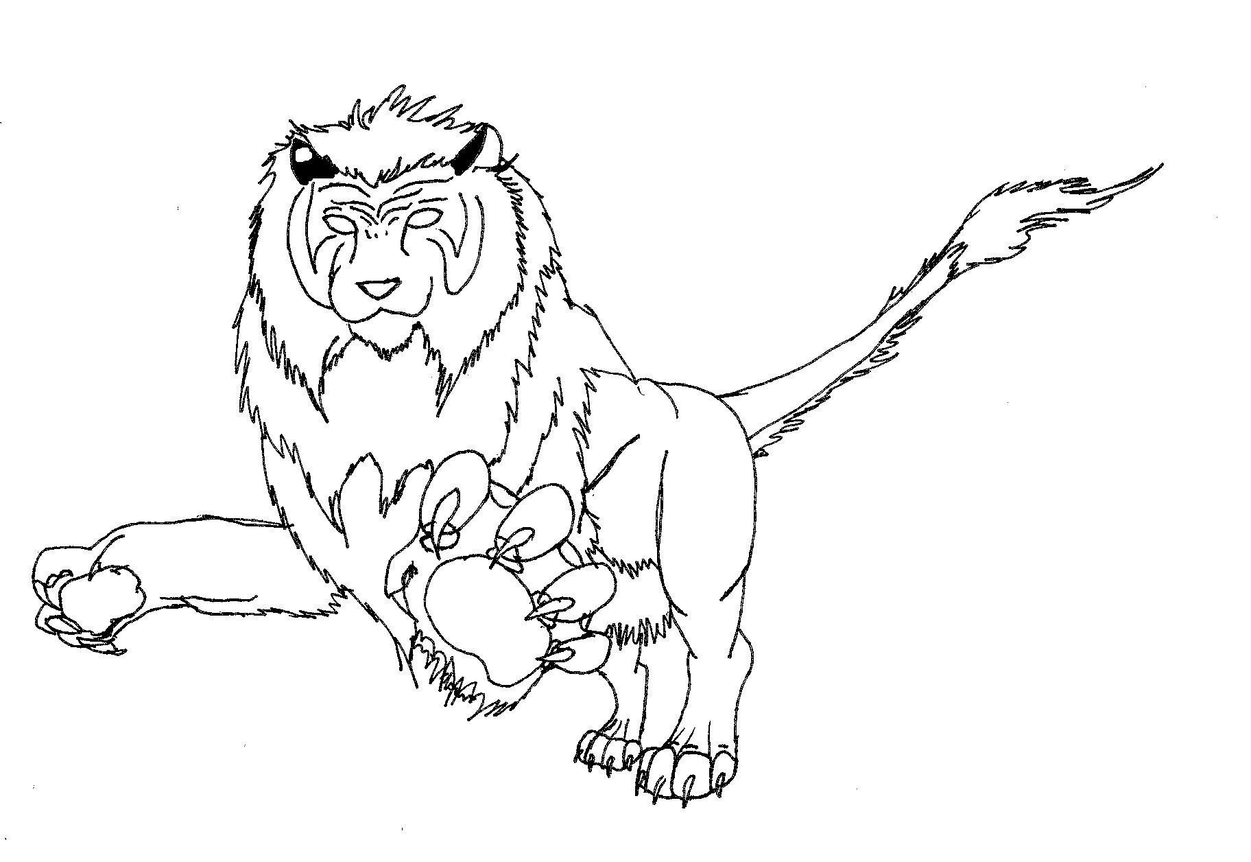 1824x1256 Drawn Artistic Ligers Pictures Liger Drawing Places To Visit