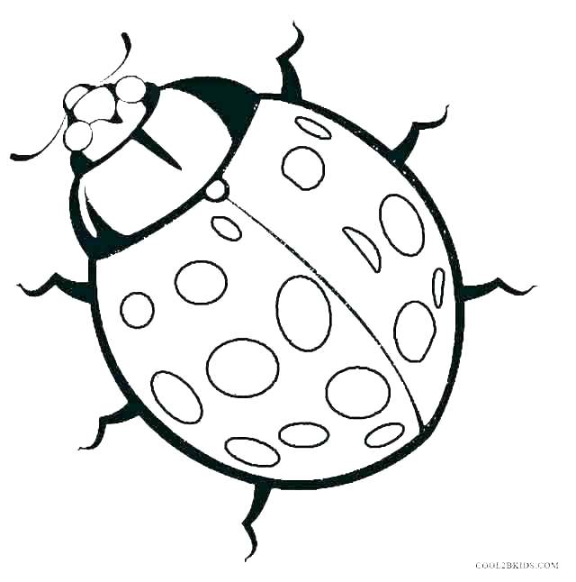 640x646 Bugs Coloring Pages Bug Coloring Page Coloring Page Bugs Printable