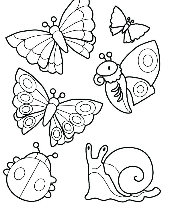 600x720 Bugs Coloring Pages Coloring Pages Bug Coloring Sheets Free