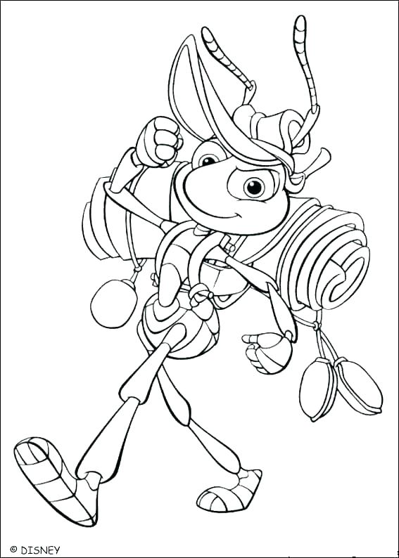 567x794 Bugs Coloring Pages Stink Bug Coloring Page Bugs Coloring Pages