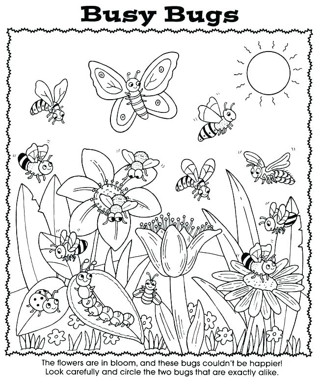 650x770 Bug Coloring Page Lady Bug Coloring Page Louie The Lightning Bug