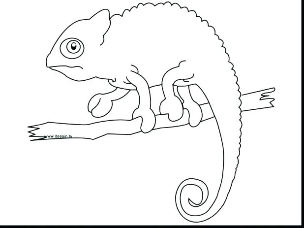 618x463 Lightning Bugs Coloring Sheets