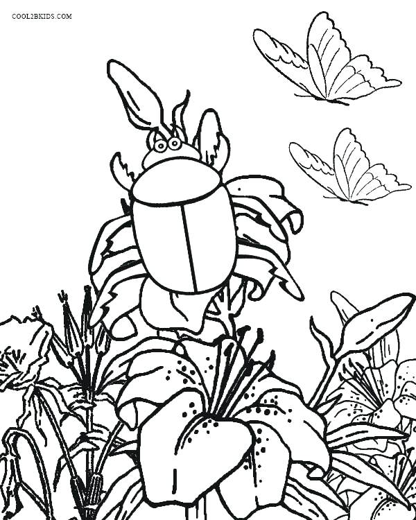 600x750 Bugs Coloring Page Bug Coloring Page Bugs Coloring Pages For Kids