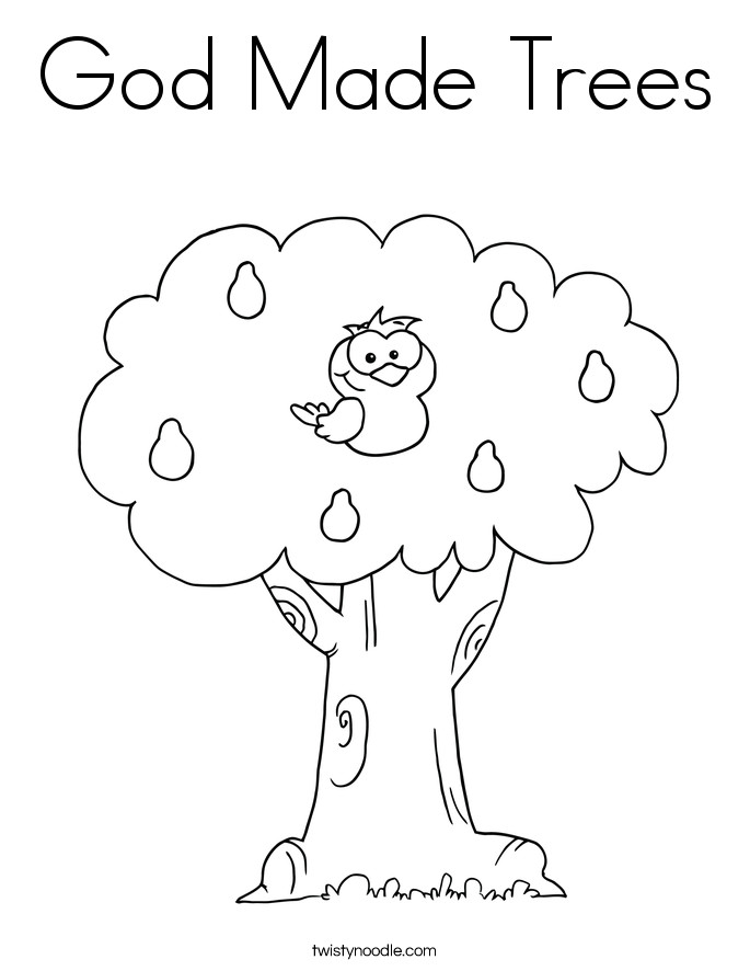 685x886 Lilac Flowers Coloring Pages Downloads And Sketches 4