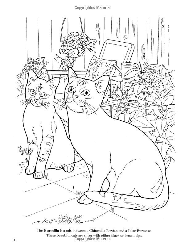 600x800 Nature Cat Coloring Pages Luxury Top 20 Free Printable Cat