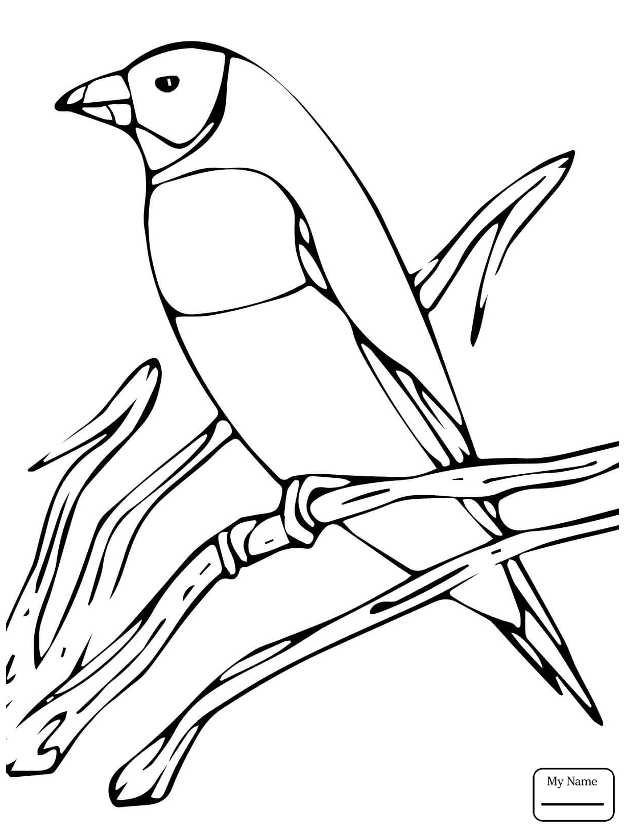 1224x1632 Purple Finch Coloring Page