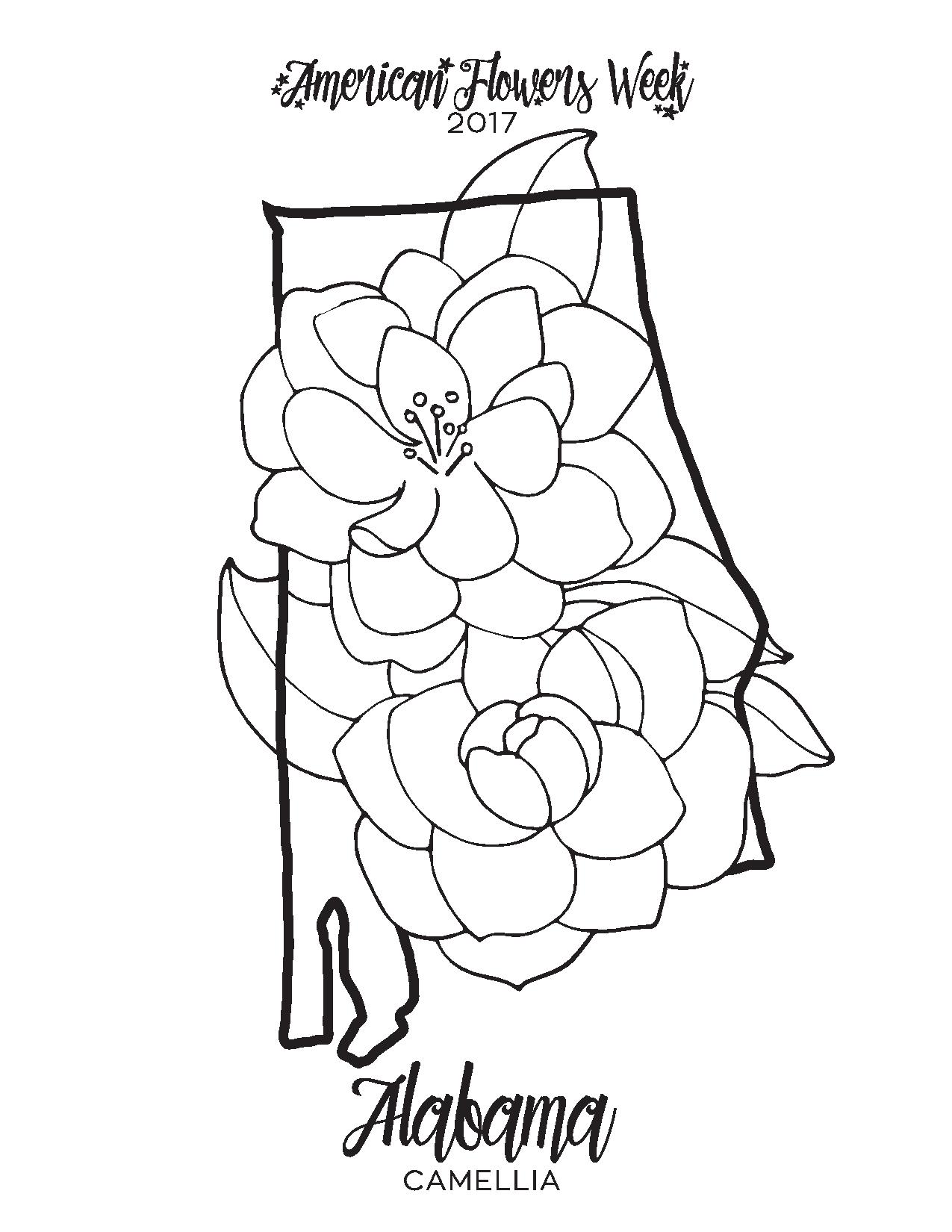 1275x1650 50 State Flowers Free Coloring Pages American Flowers Week