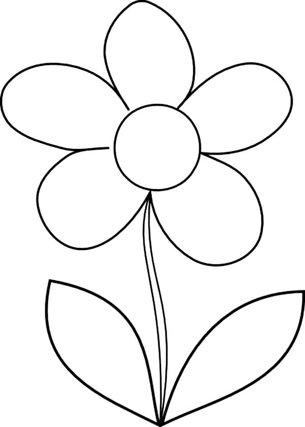 600x840 Vibrant Creative Daisy Flower Coloring Pages Lilac Flower Coloring
