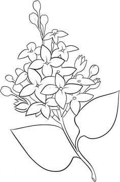 236x357 Flower Page Printable Coloring Sheets Spring Flowers2 Flower