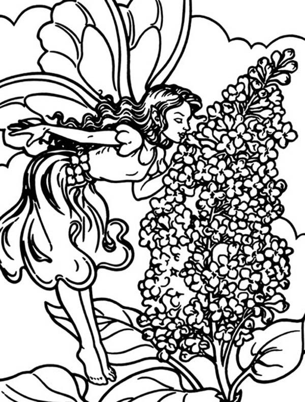 600x790 A Little Fairy Smelling Lilac Flower Coloring Page Coloring