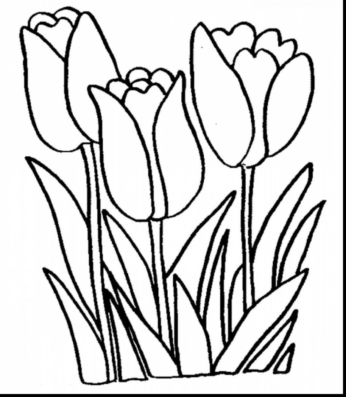 1152x1320 Arum Lily Coloring Pages For Kids Page Flowers Peace Frog Pad
