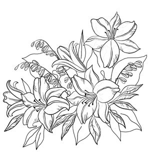 300x320 Amazingly Exquisite Free Printable Coloring Pages Of Flowers