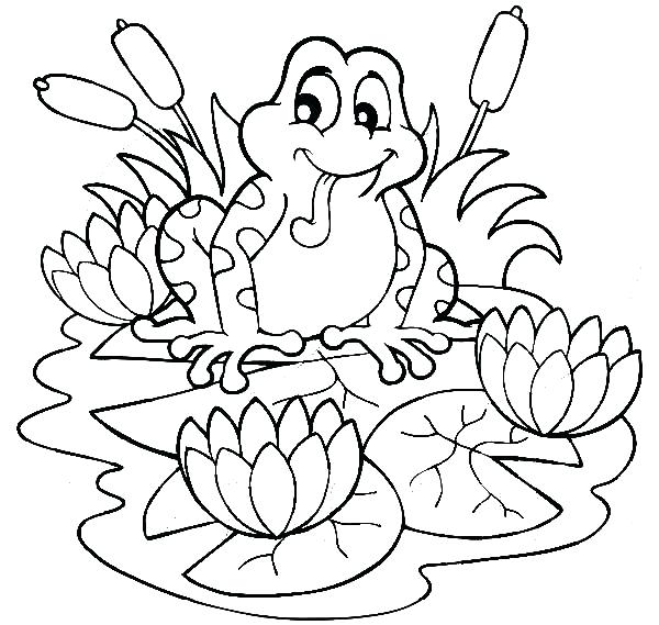 600x569 Lily Pad Coloring Page Water Lily Flower And Pad Coloring Page