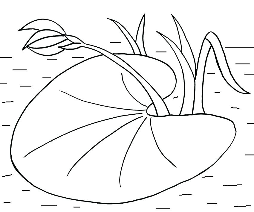 850x708 Lily Of The Valley Coloring Pages Printable Pad Page Free Fuhrer
