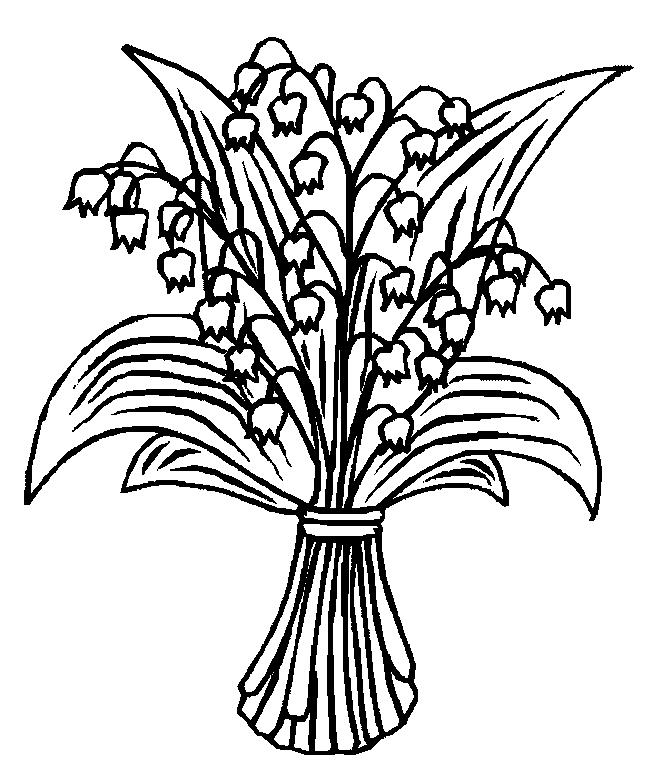 652x783 Lily Of The Valley Coloring Page 23