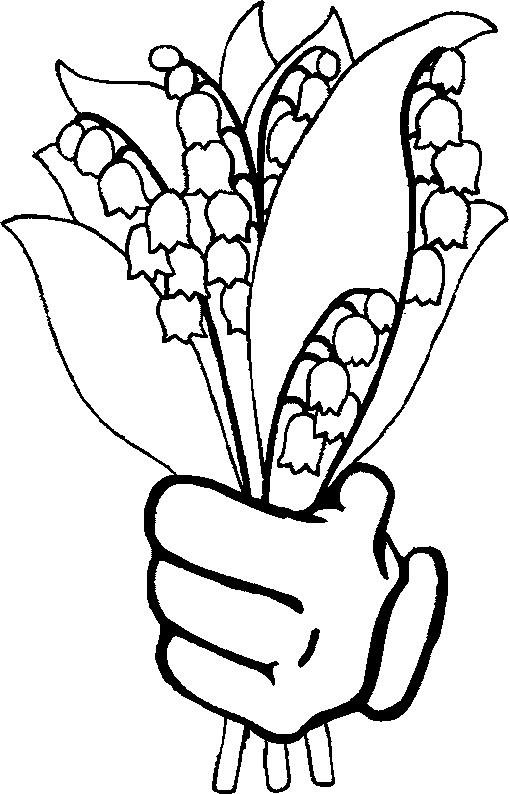509x794 Lily Of The Valley Coloring Page 25