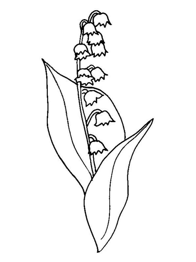 750x1000 Lily Valley Coloring Pages. Download And Print Lily