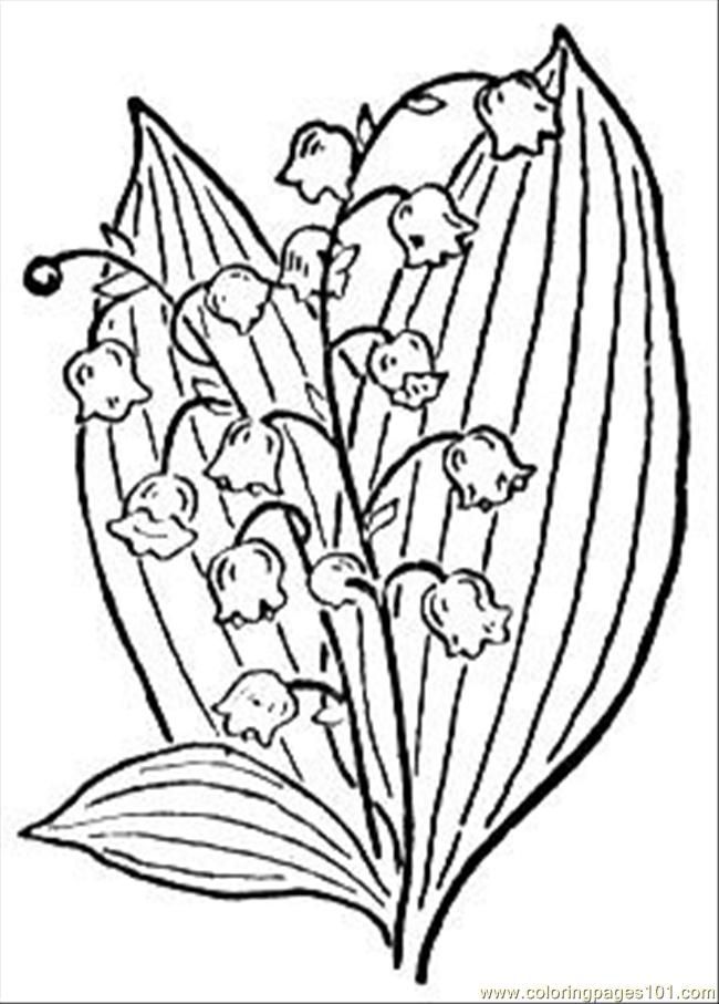 650x907 Lily Coloring Pages Free Printable Coloring Page Lily